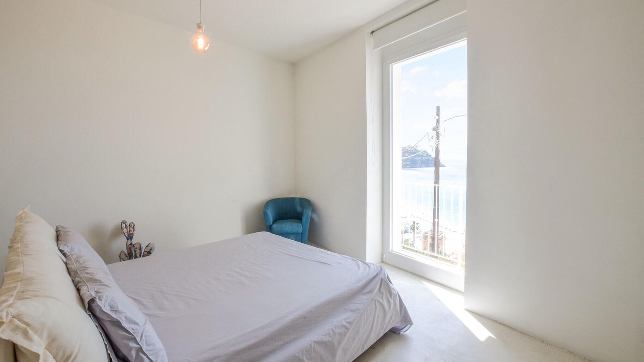 Photo of Others in Scilla