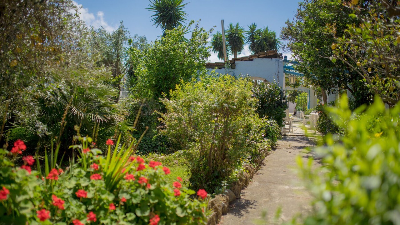 Photo of Outdoor in Procida