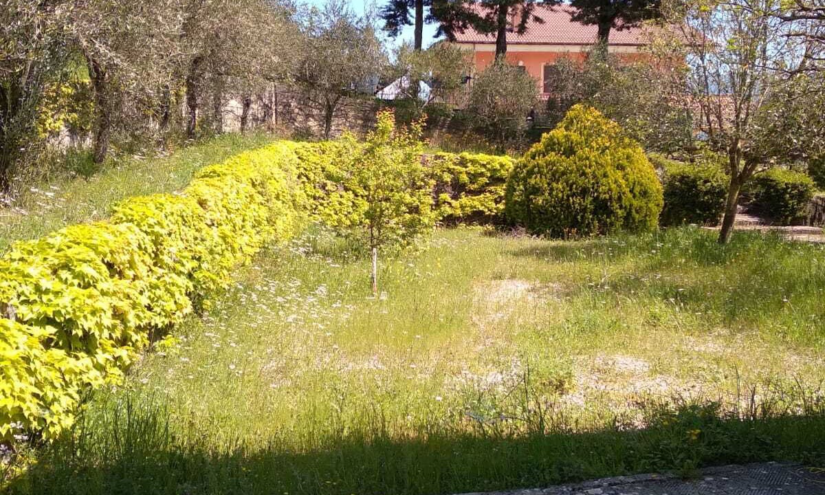 Photo of Outdoor in Senerchia