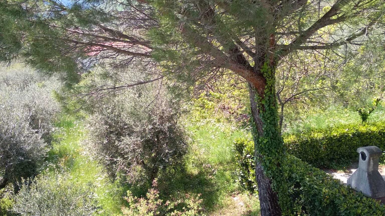 Photo of Outdoor in Senerchia
