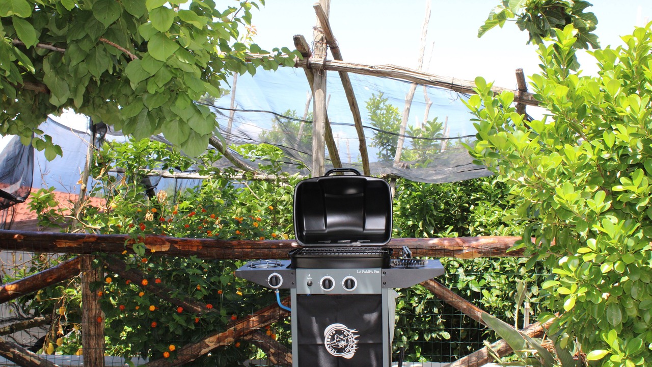 Photo of Outdoor in Schiazzano
