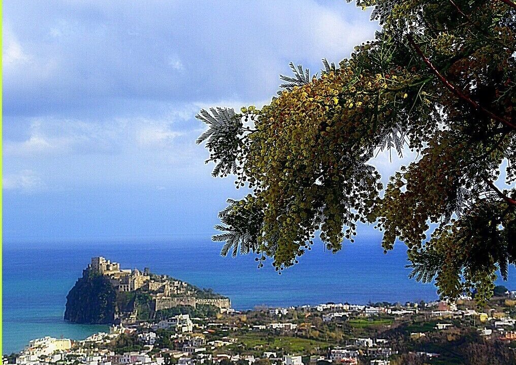 Photo of Outdoor in Fiaiano