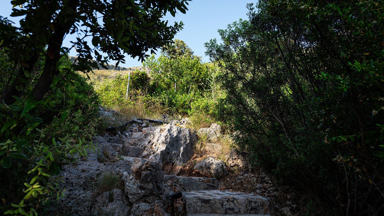 Photo of Outdoor in Cersuta