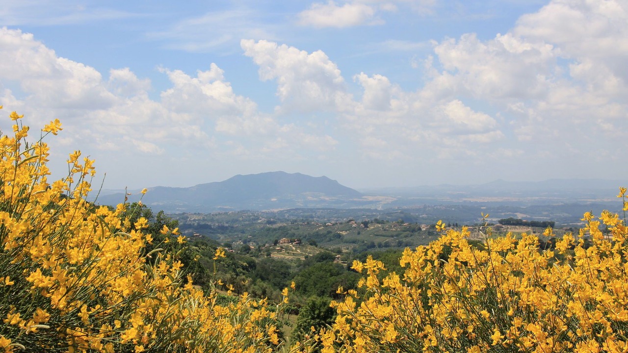 Photo of Others in Casperia