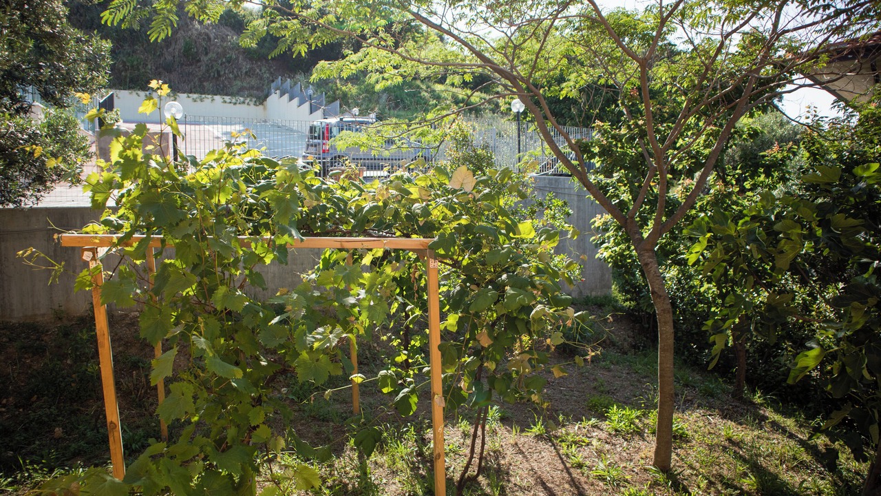 Photo of Outdoor in Lido Riccio