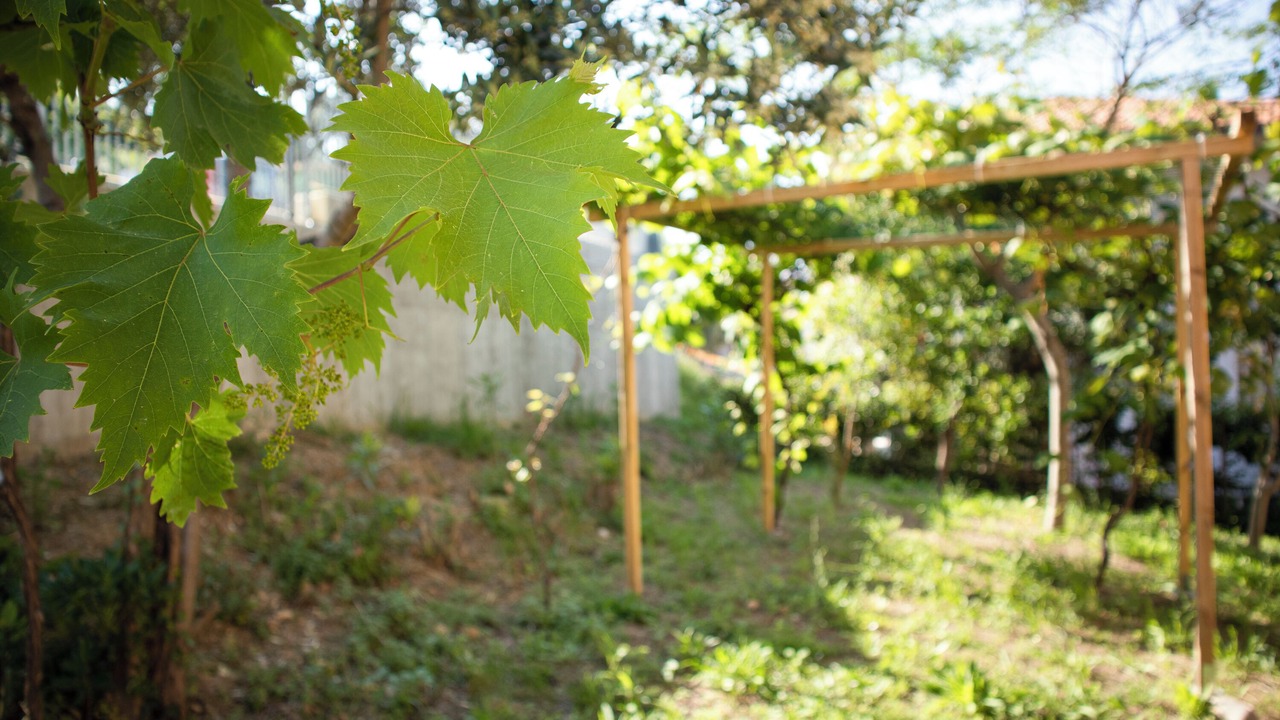 Photo of Outdoor in Lido Riccio
