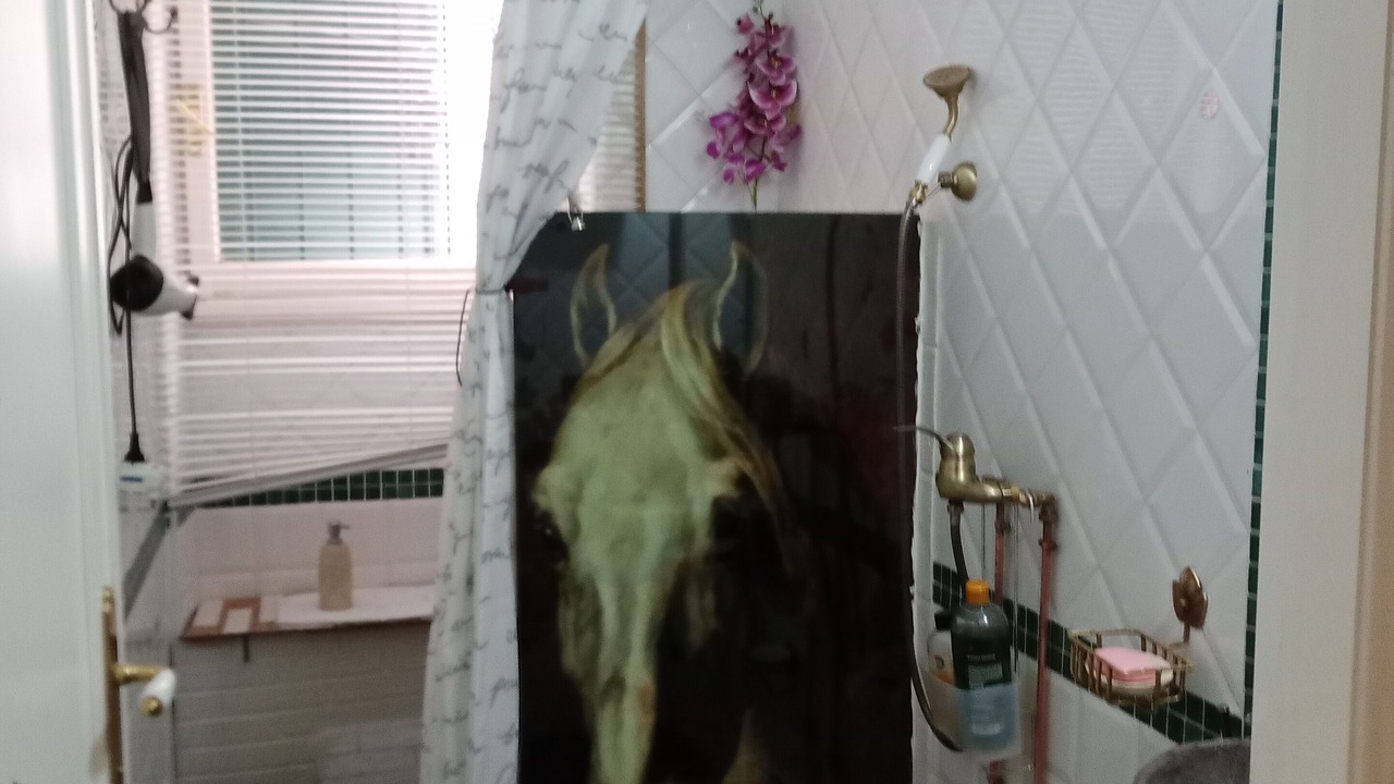 Photo of Bathroom in Garbatella