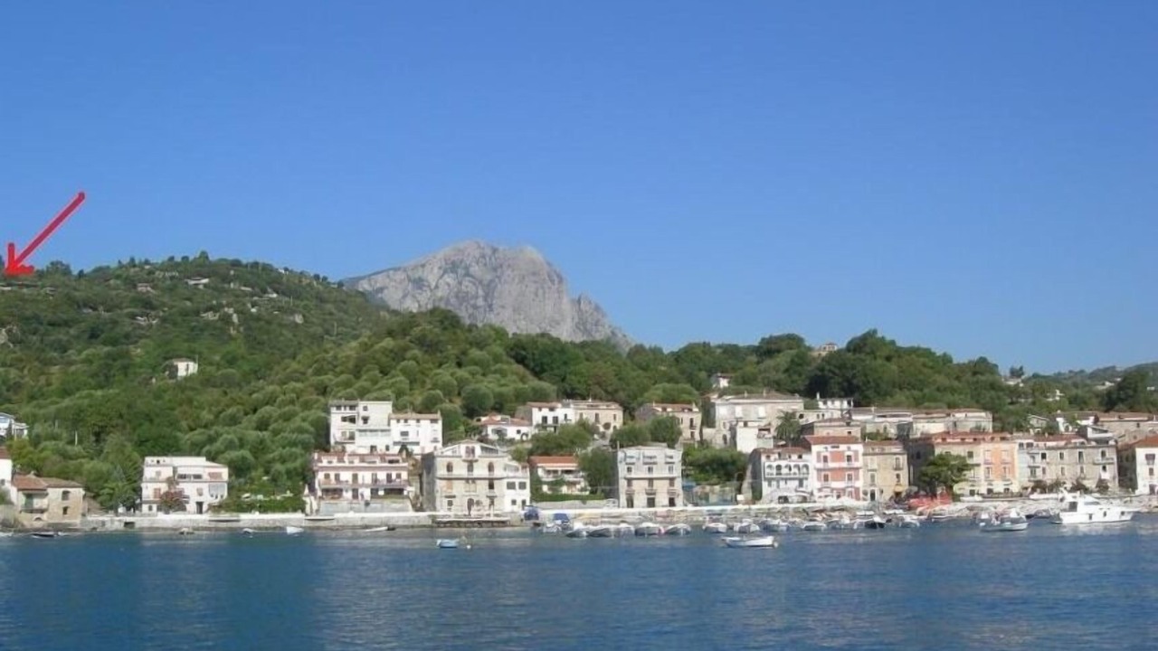 Photo of Others in Scario