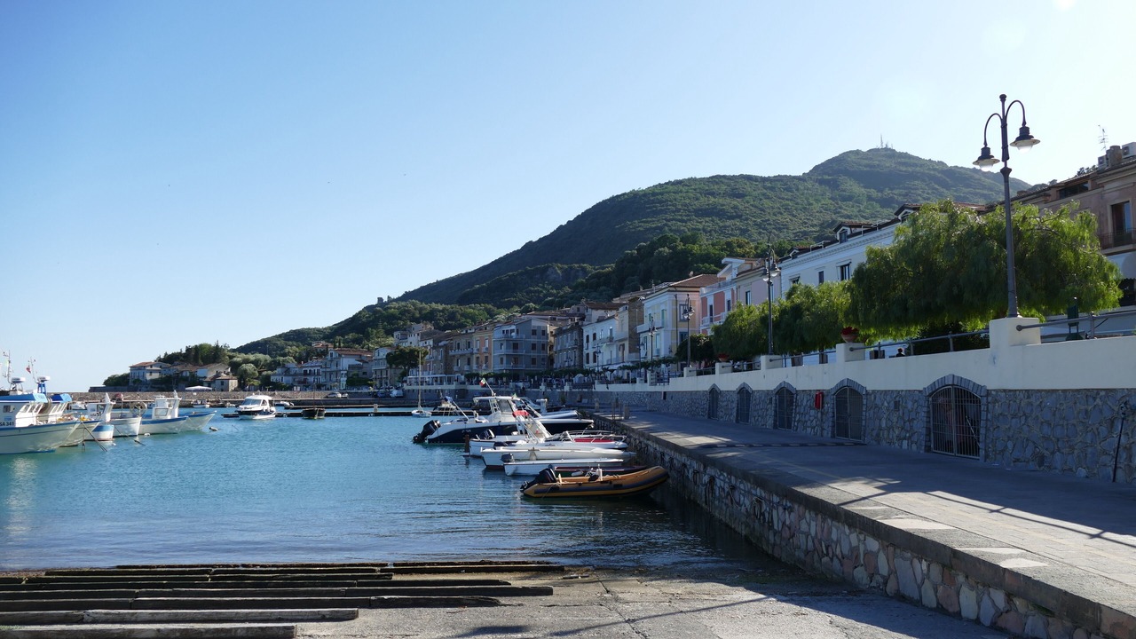 Photo of Others in Scario