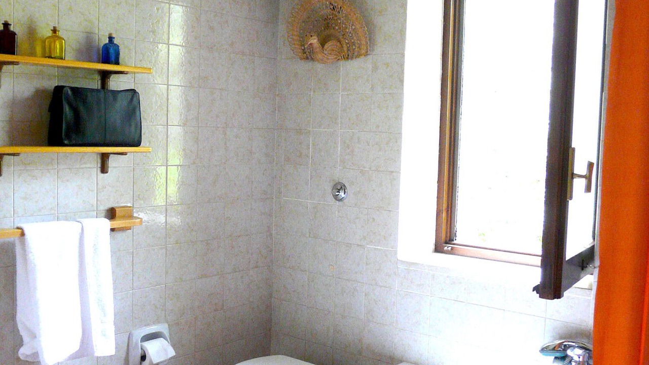 Photo of Bathroom in Scario