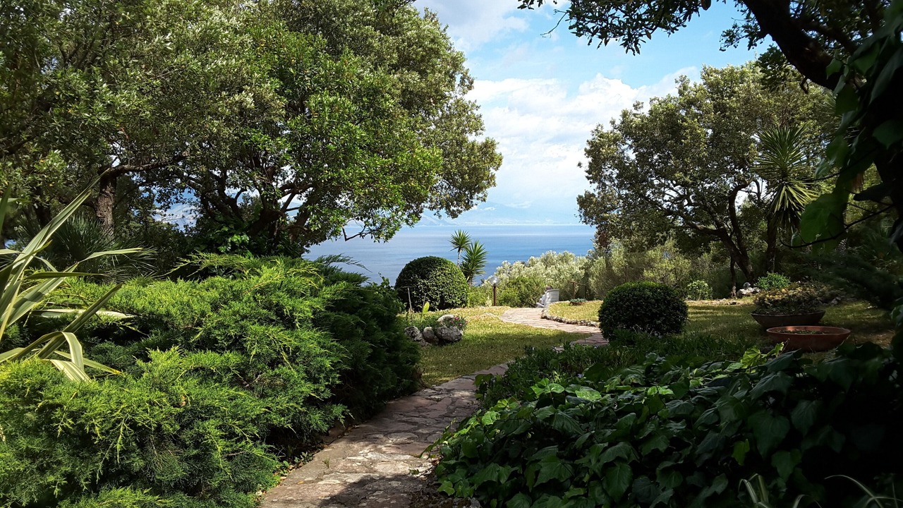 Photo of Outdoor in Scario