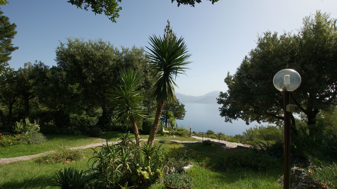 Photo of Outdoor in Scario