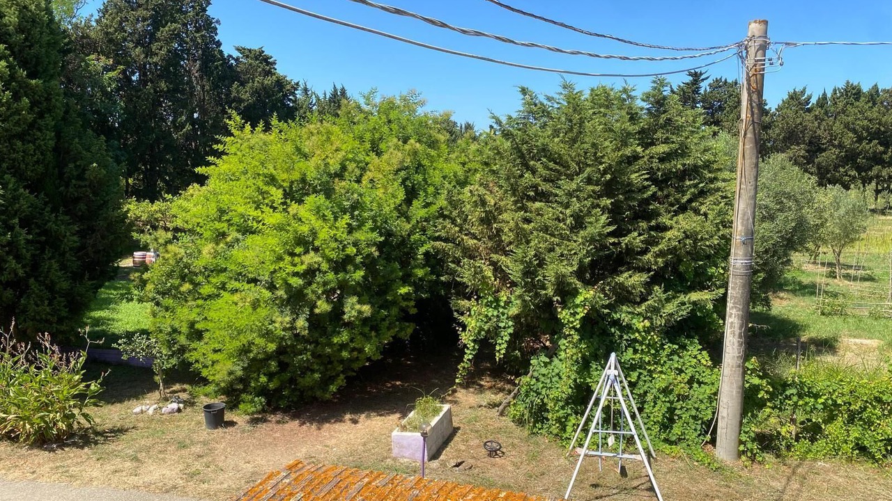 Photo of Outdoor in Sant'Eufemia Lamezia