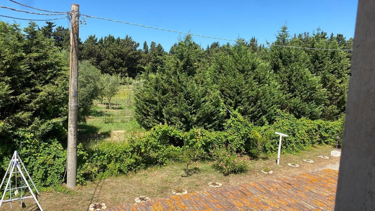 Photo of Outdoor in Sant'Eufemia Lamezia