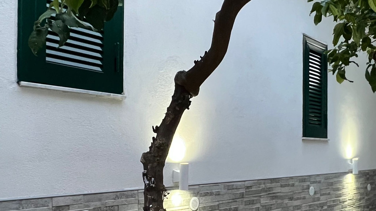 Photo of Outdoor in Naples