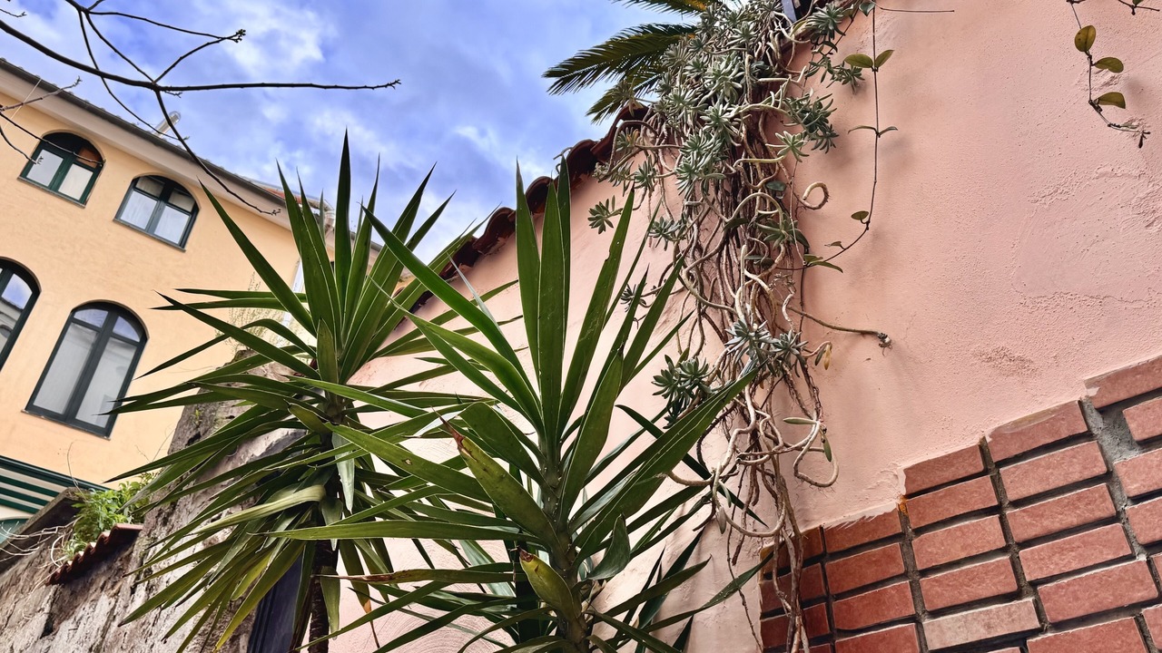 Photo of Outdoor in Rione Duomo