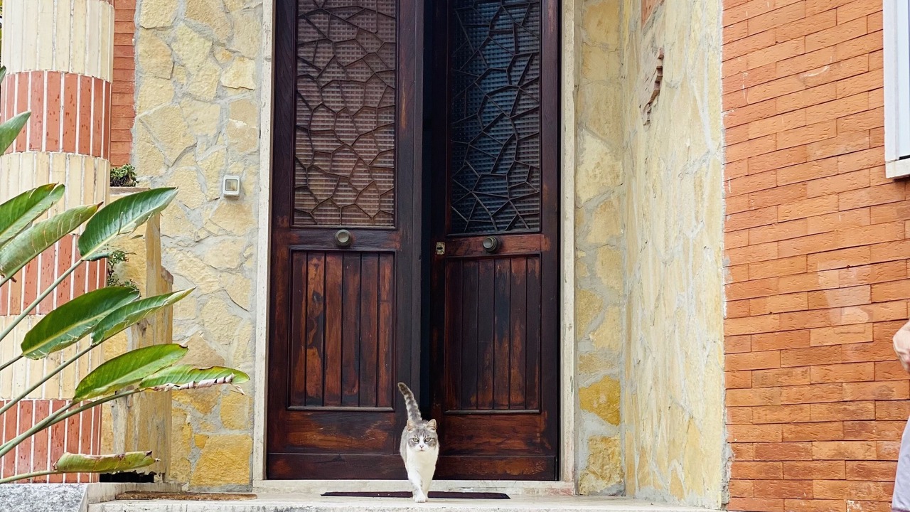Photo of Outdoor in Formia