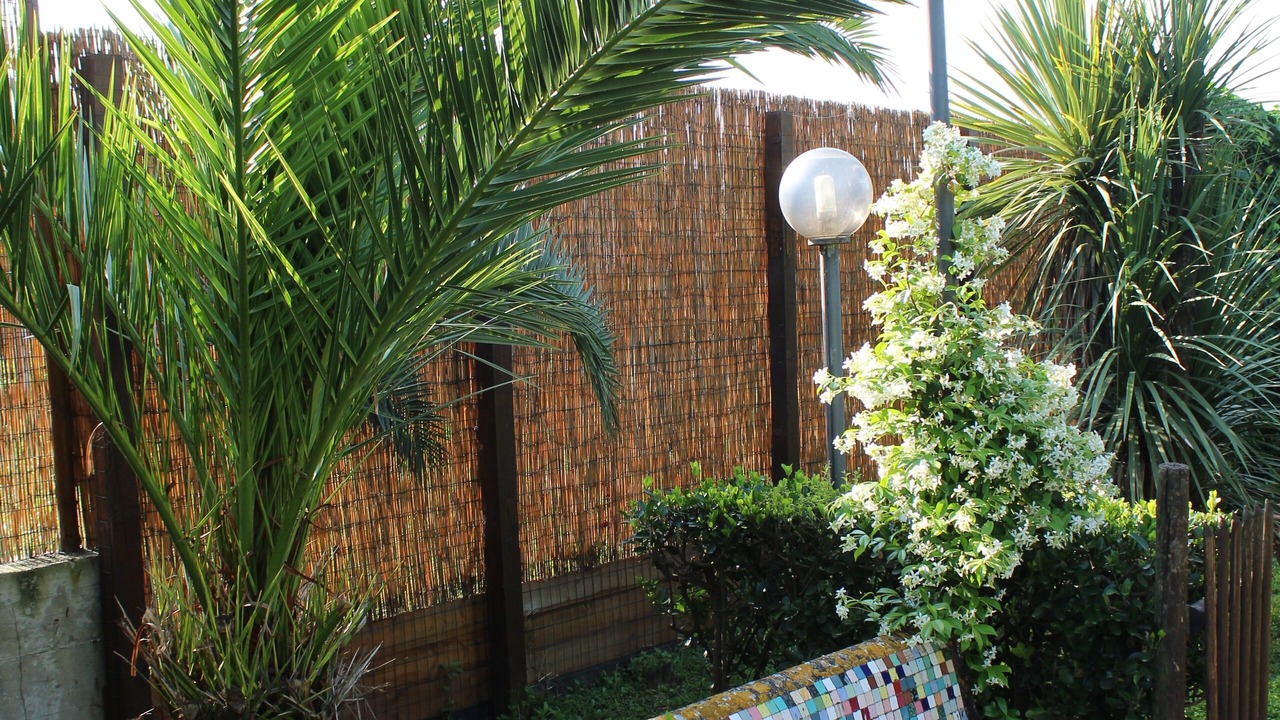 Photo of Outdoor in San Marco Evangelista