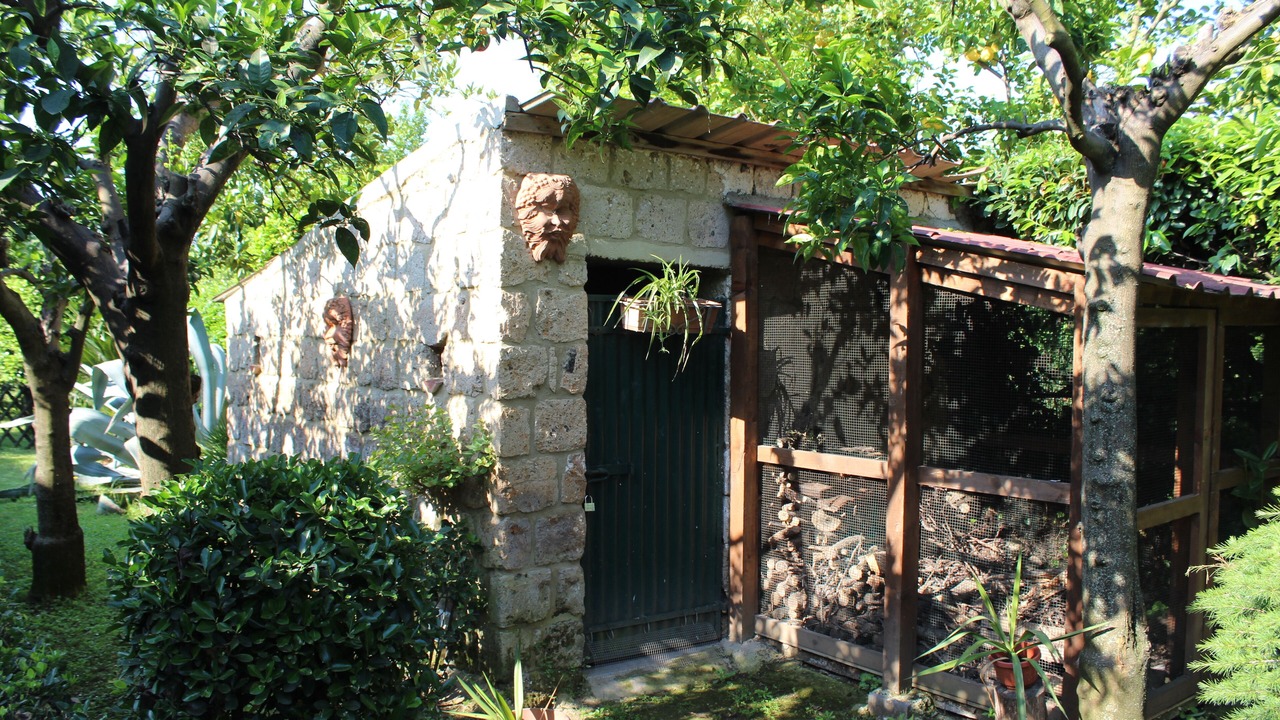 Photo of Outdoor in San Marco Evangelista