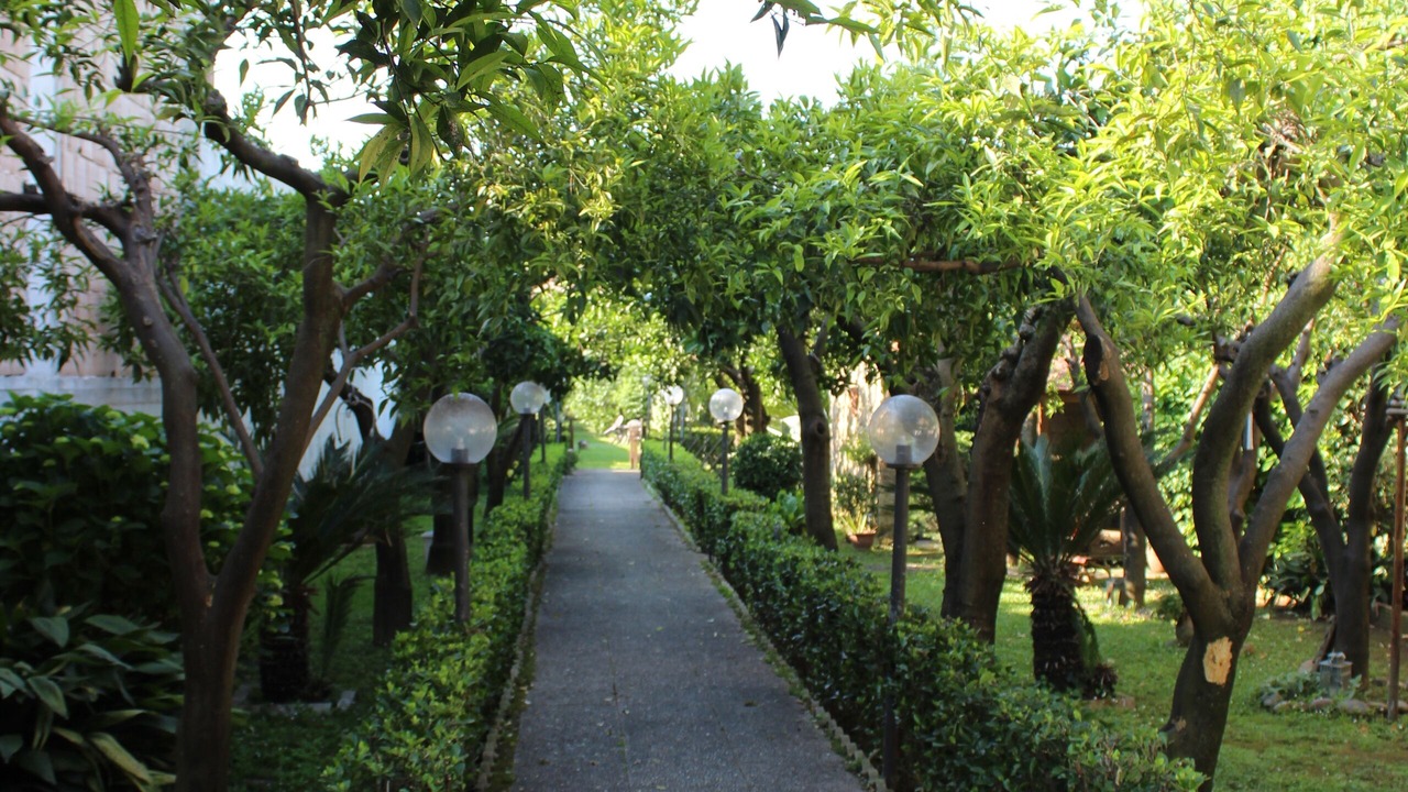 Photo of Outdoor in San Marco Evangelista
