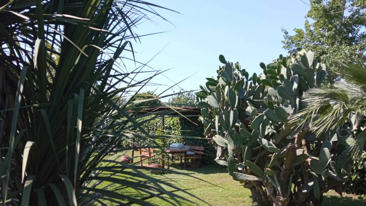 Photo of Outdoor in San Marco Evangelista