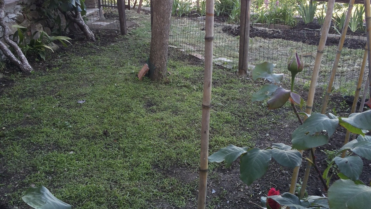 Photo of Outdoor in Chiusdino