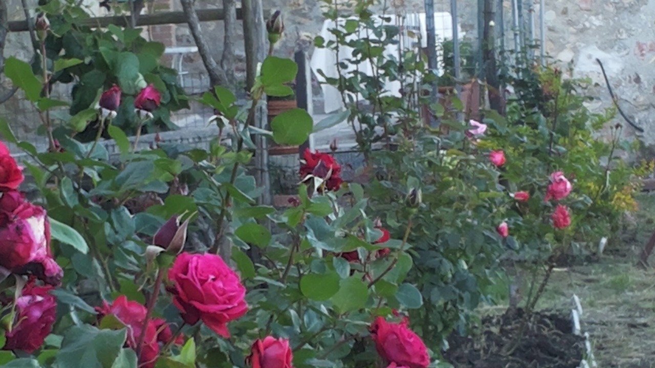 Photo of Outdoor in Chiusdino