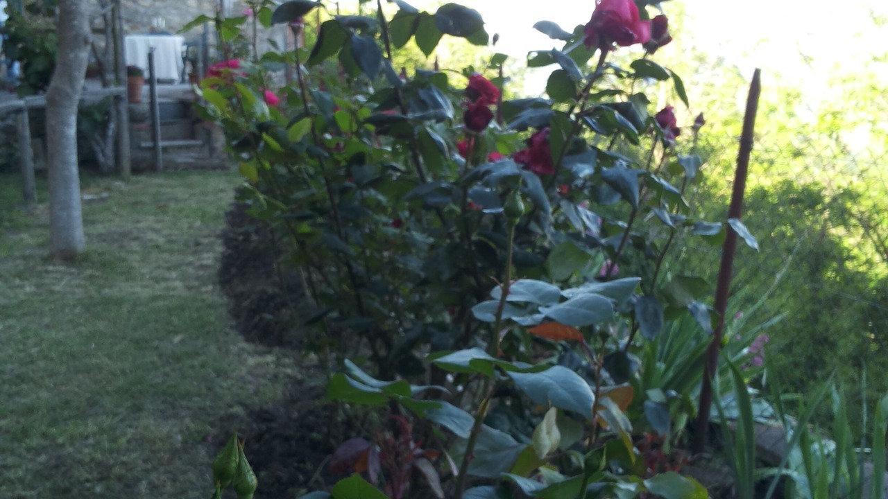 Photo of Outdoor in Chiusdino