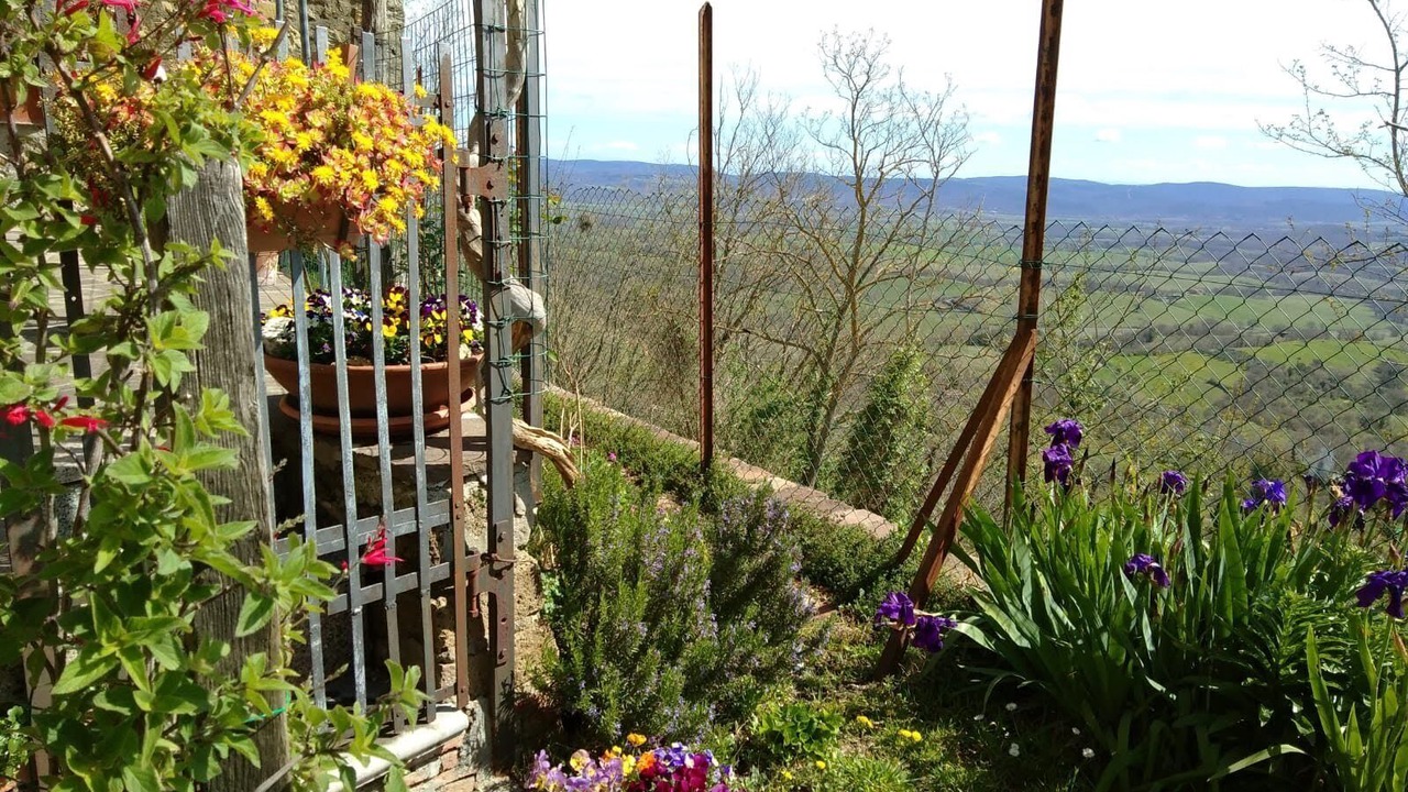 Photo of Outdoor in Chiusdino