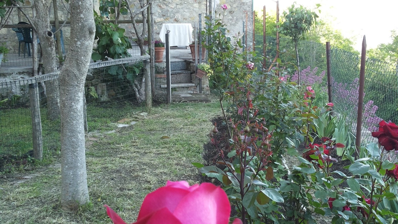 Photo of Outdoor in Chiusdino