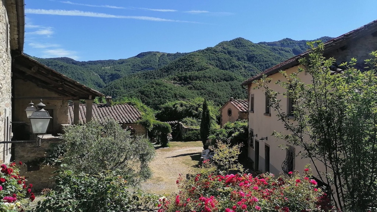 Photo of Outdoor in San Godenzo