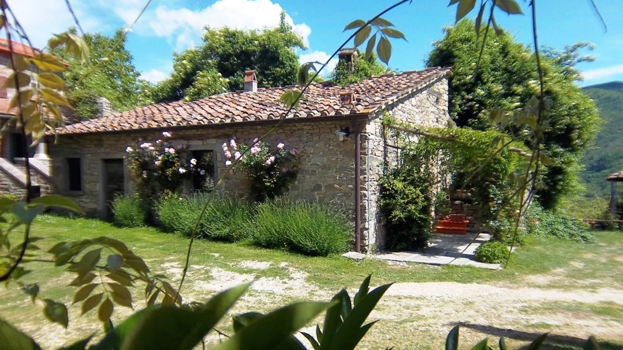 Photo of Outdoor in San Godenzo