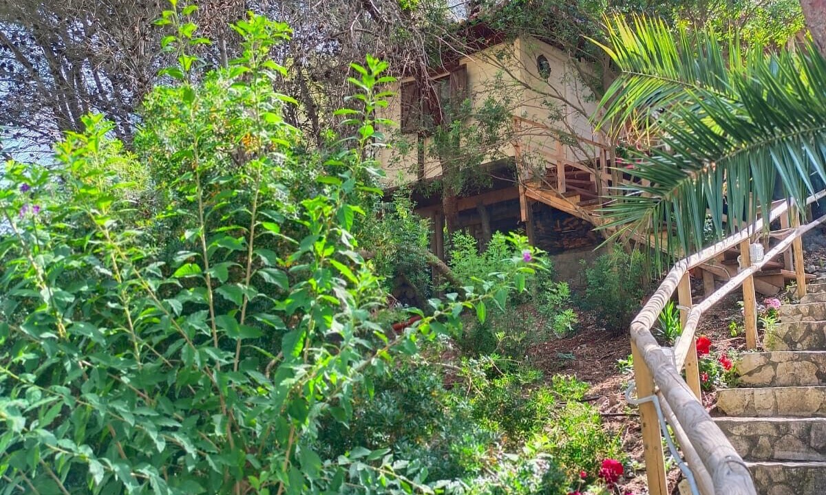 Photo of Outdoor in Sperlonga