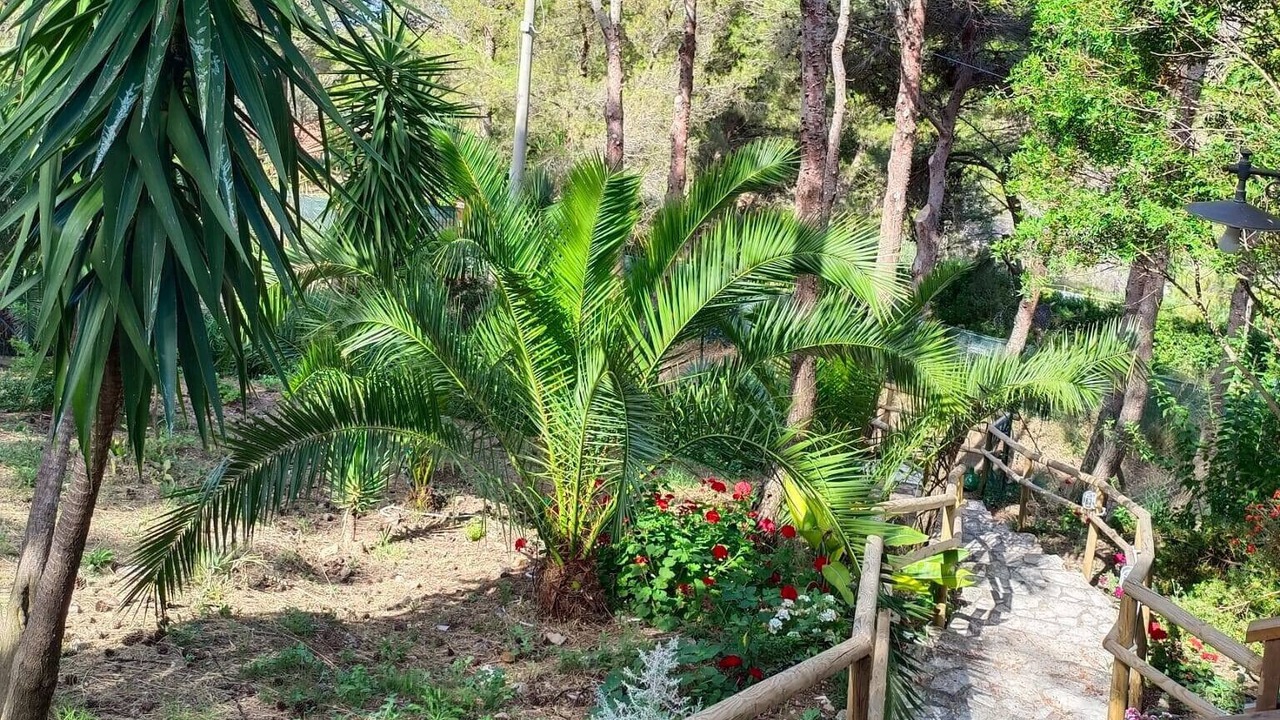 Photo of Outdoor in Sperlonga