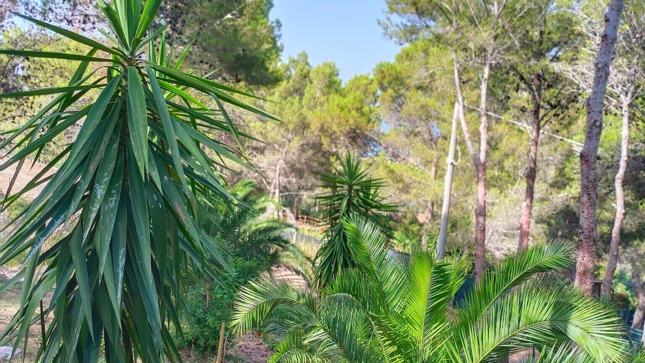 Photo of Outdoor in Sperlonga