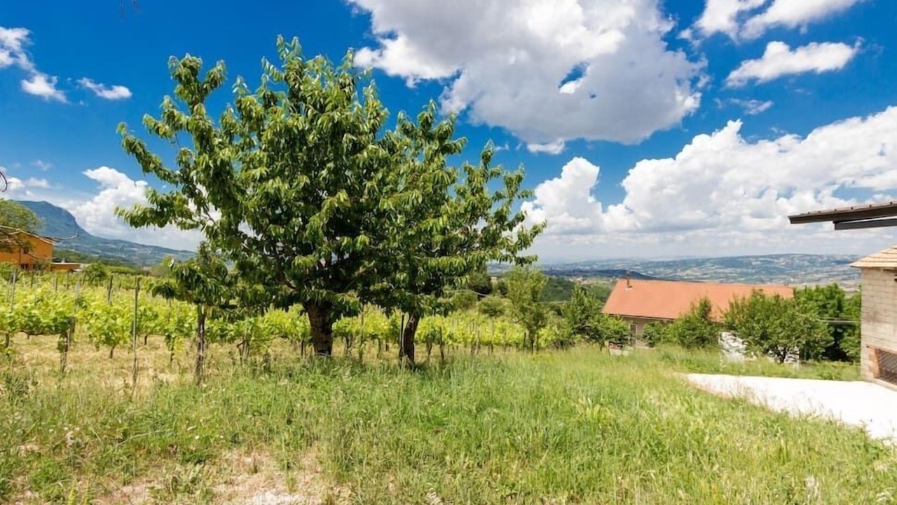 Photo of Outdoor in Castelfranci