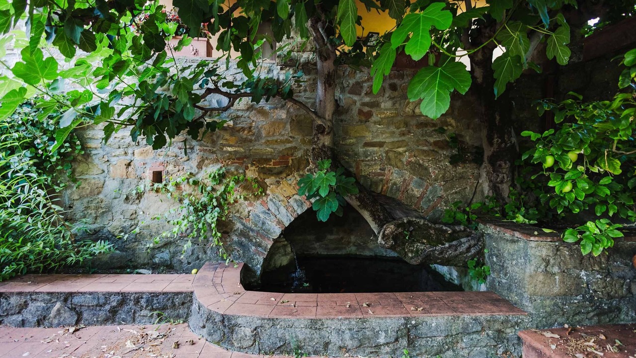 Photo of Outdoor in Puliciano