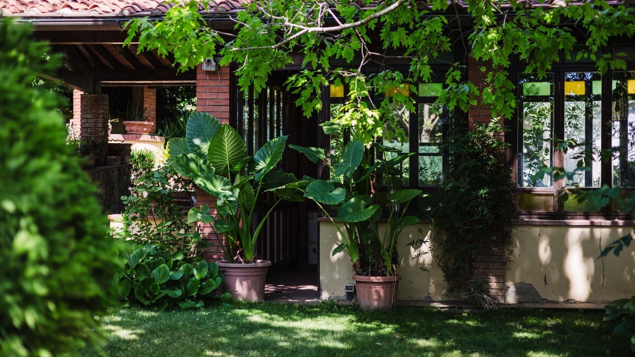 Photo of Outdoor in Puliciano