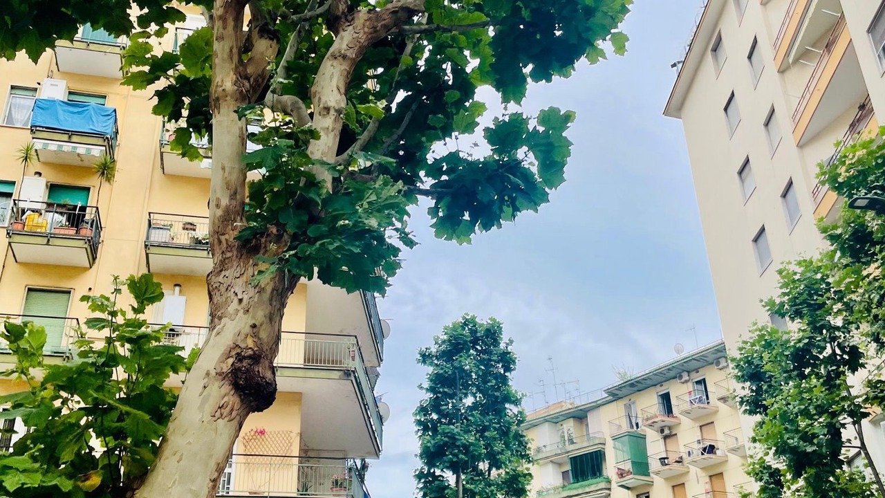 Photo of Outdoor in Arenella
