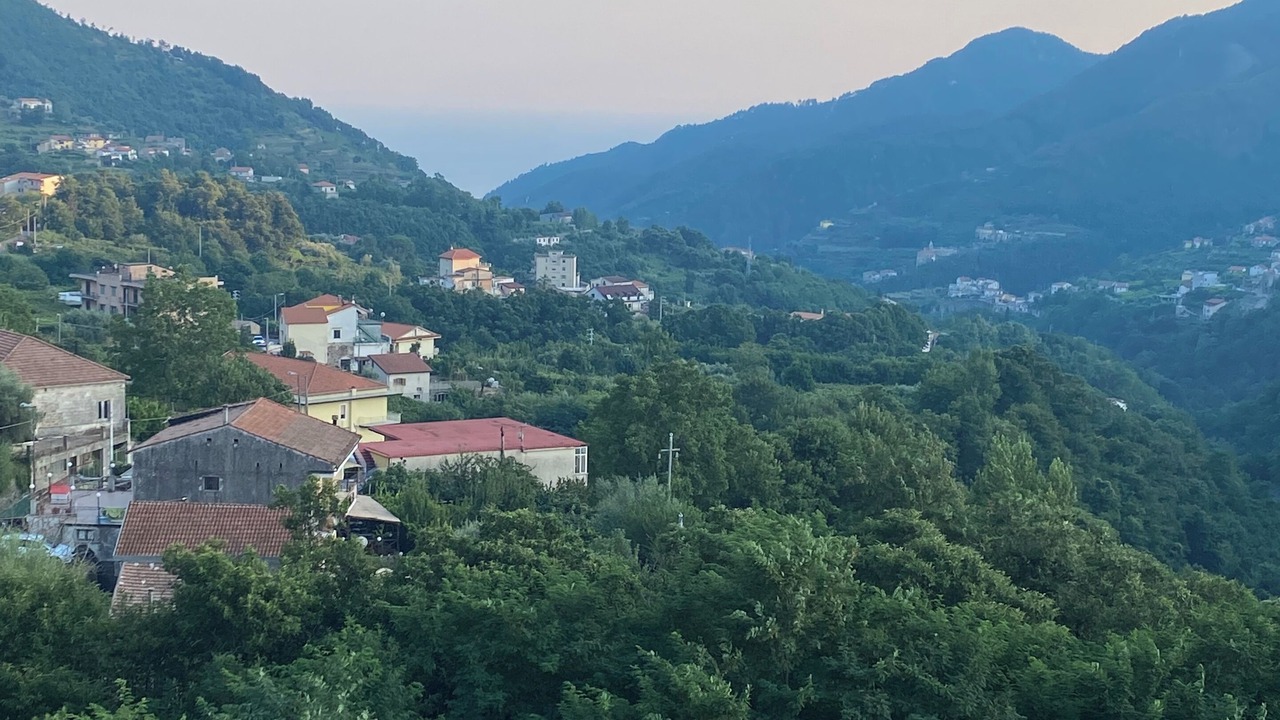 Photo of Outdoor in Campinola