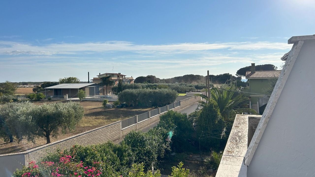 Photo of Outdoor in Ardea