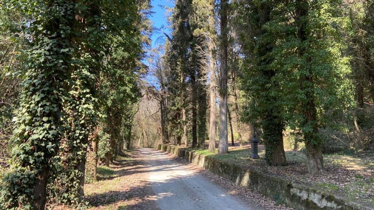 Photo of Outdoor in Cincelli