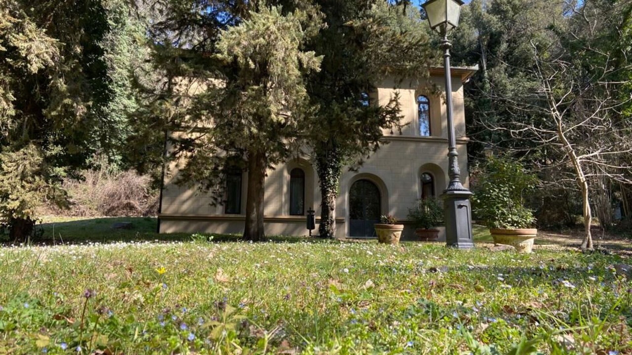 Photo of Outdoor in Cincelli