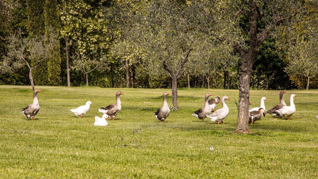Photo of Outdoor in Figline e Incisa Valdarno