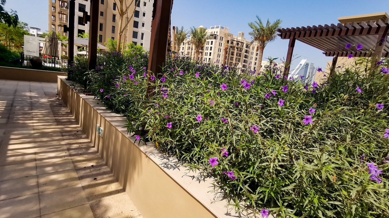 Photo of Outdoor in Umm Suqeim 3