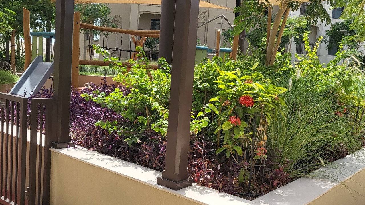 Photo of Outdoor in Jumeira 1