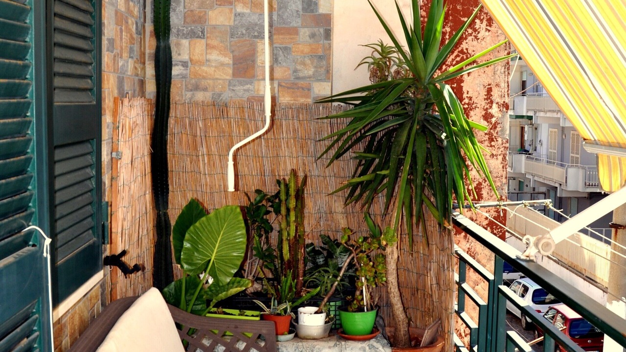 Photo of Patio Balcony in Licola