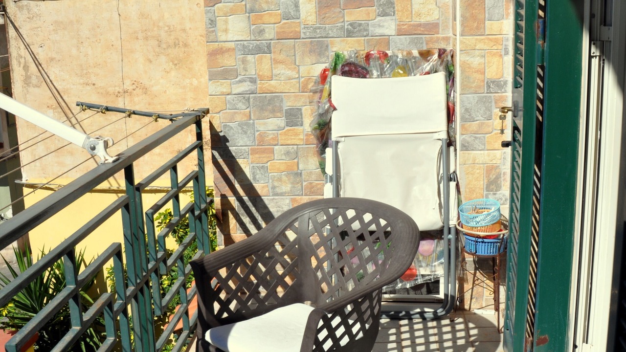 Photo of Outdoor in Licola