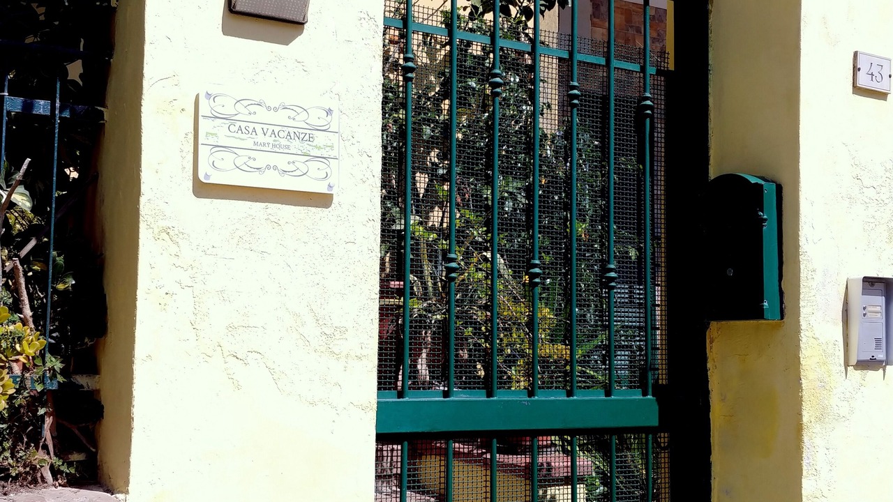 Photo of Outdoor in Licola