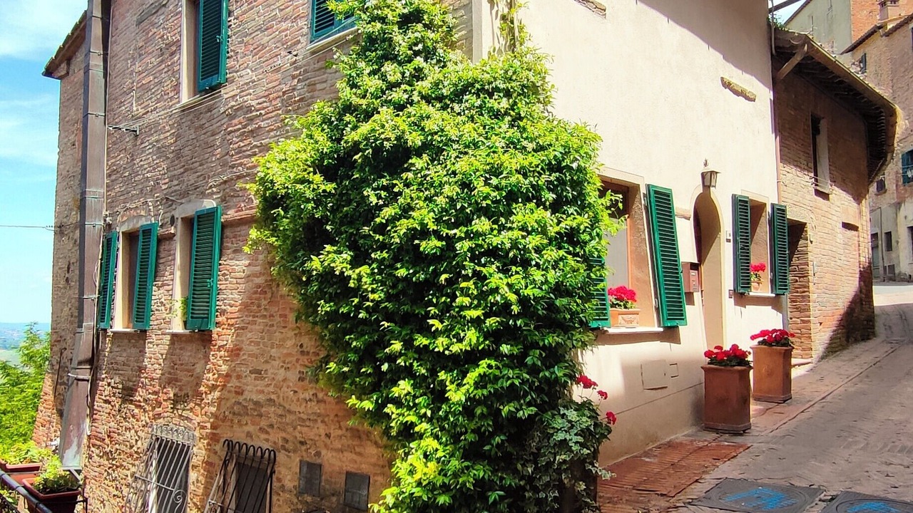 Photo of Others in Montepulciano
